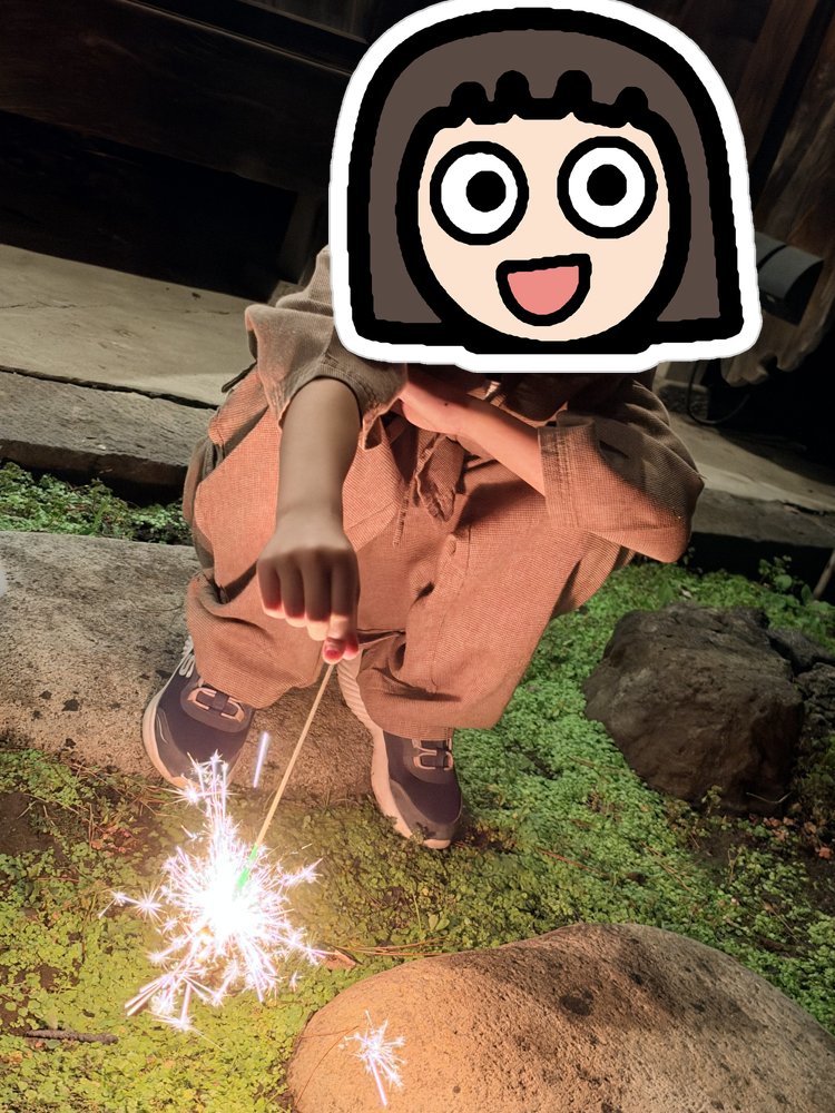 庭で花火をする娘